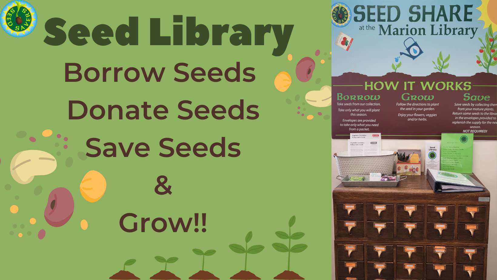 Green background with the Seed Savers logo in the top left corner. Text of "Seed Library Borrow Seeds Donate Seeds Save Seeds & Grow. Various images of seeds and plants around the text. Photo of the seed library catalogue cabinet with the Marion Library Seed Share sign above it.