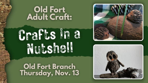 11-25 Adult Craft