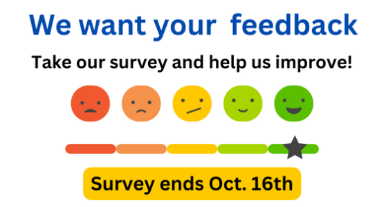 Website Survey- carousel